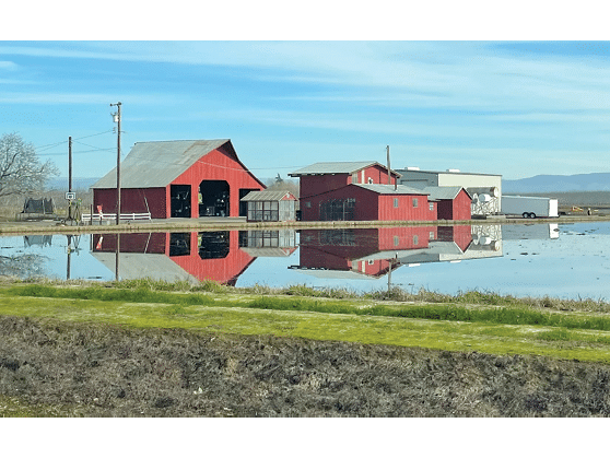 Biggs barn reflection